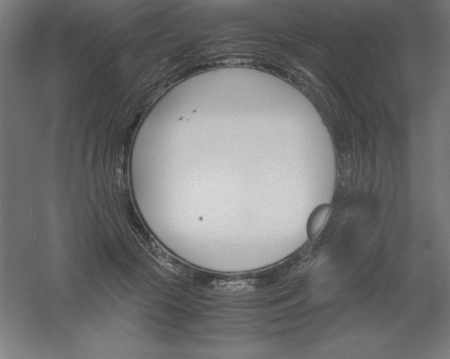 X0000061140553200511241806