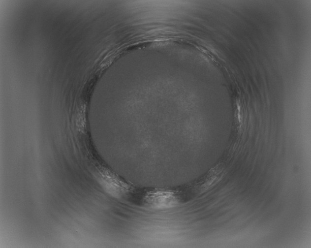 X0000061140554200511241807