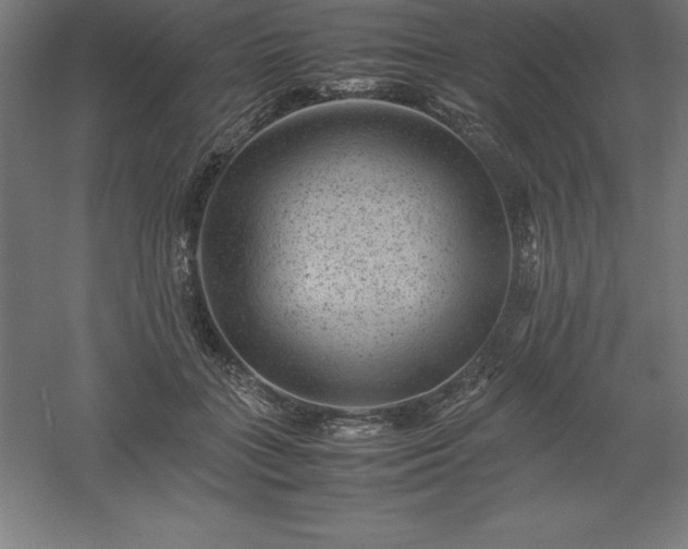 X0000061140555200511241807