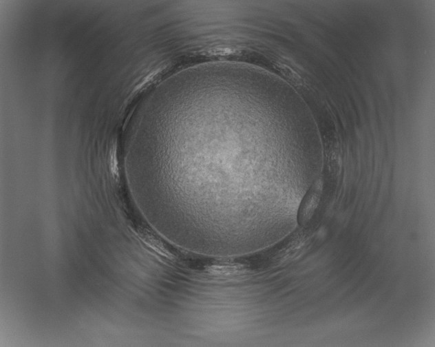 X0000061140556200511241807