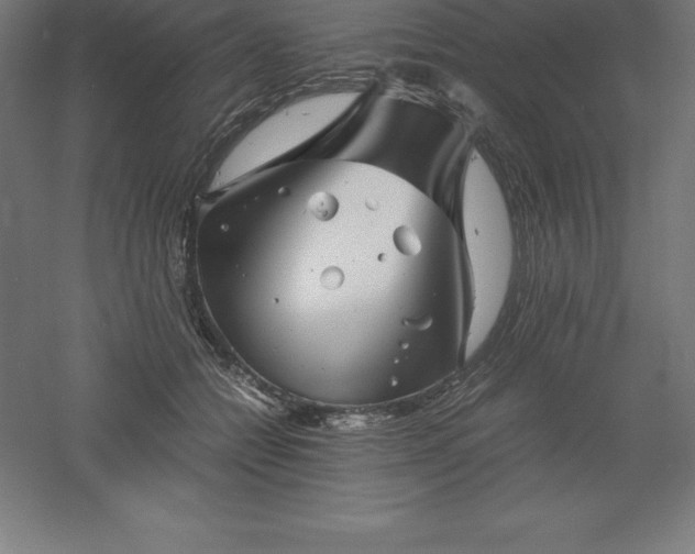 X0000061140558200511241807