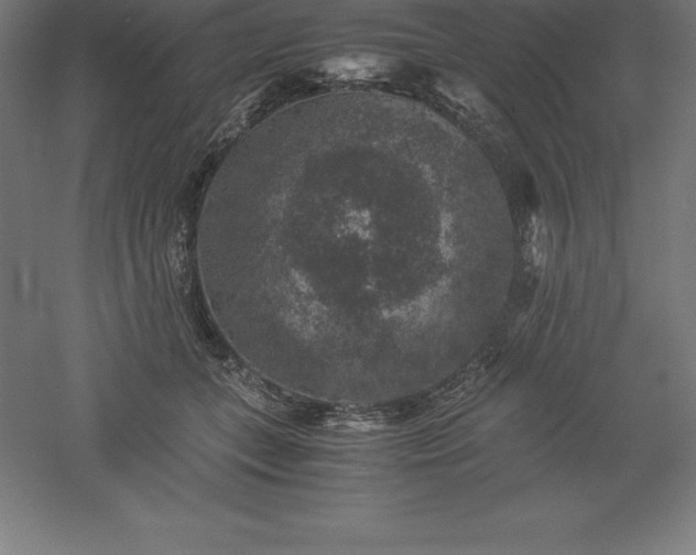 X0000061140559200511241807