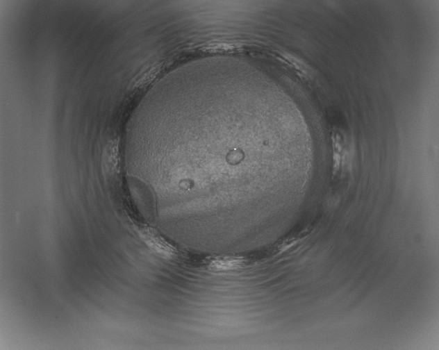 X0000061140560200511241807