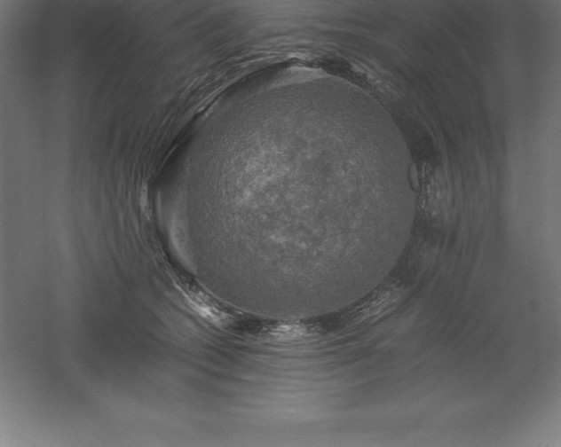 X0000061140562200511241807