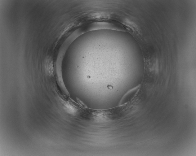 X0000061140564200511241807