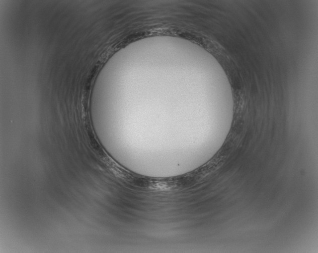 X0000061140565200511241807