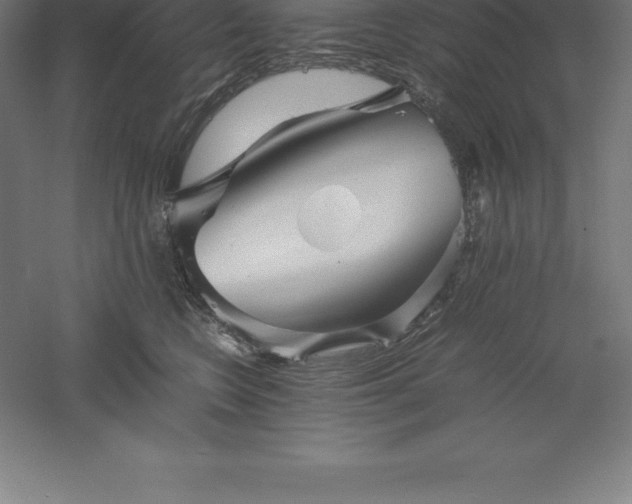 X0000061140566200511241807