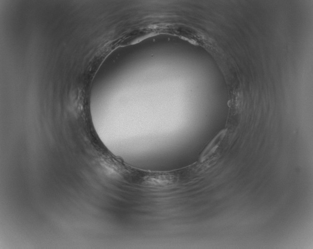 X0000061140567200511241807