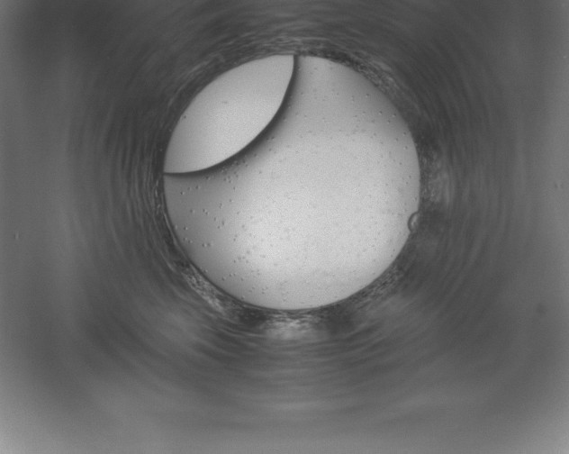 X0000061140569200511241807