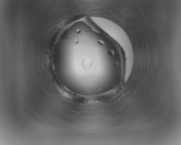 X0000061140570200511241807