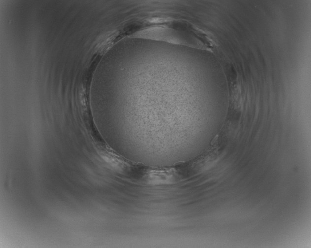 X0000061140571200511241807