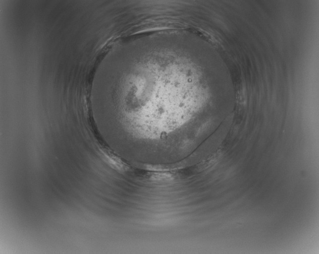 X0000061140572200511241807