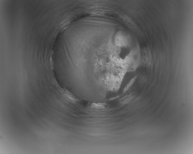 X0000061140573200511241807