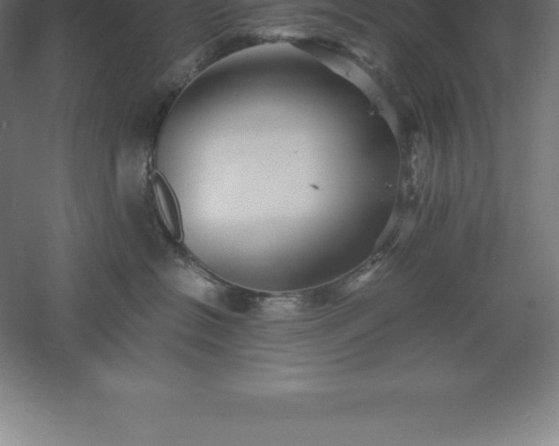 X0000061140574200511241807