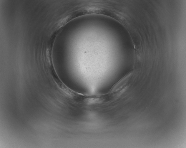 X0000061140575200511241807