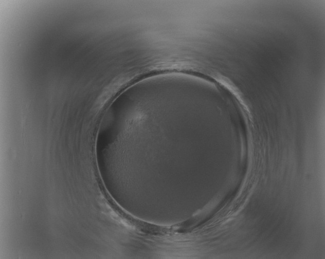 X0000061140577200511241806