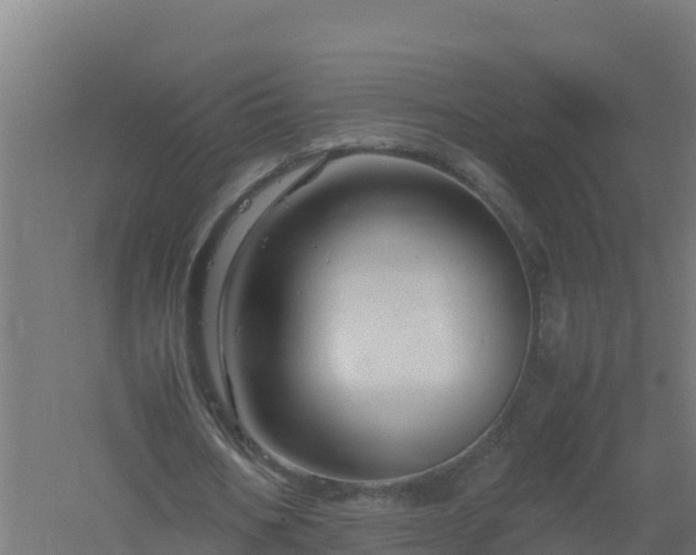 X0000061140578200511241806