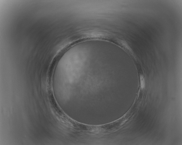 X0000061140579200511241806