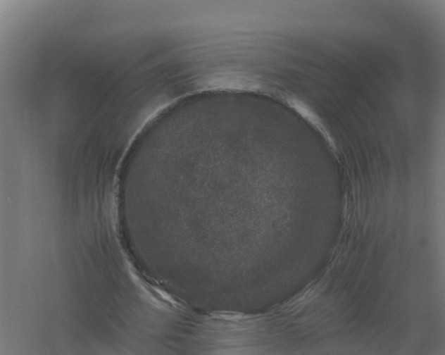 X0000061140580200511241806