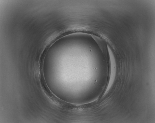 X0000061140582200511241806