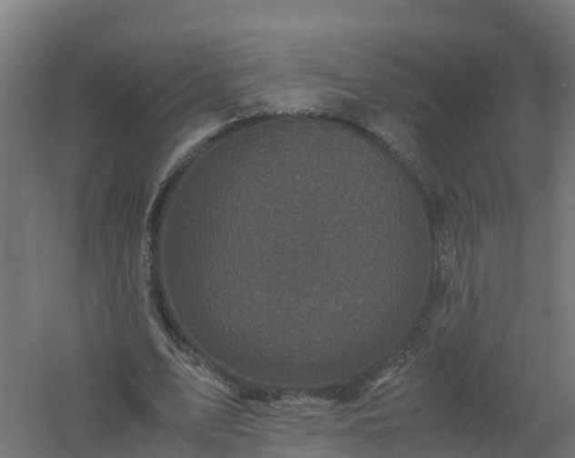 X0000061140583200511241806