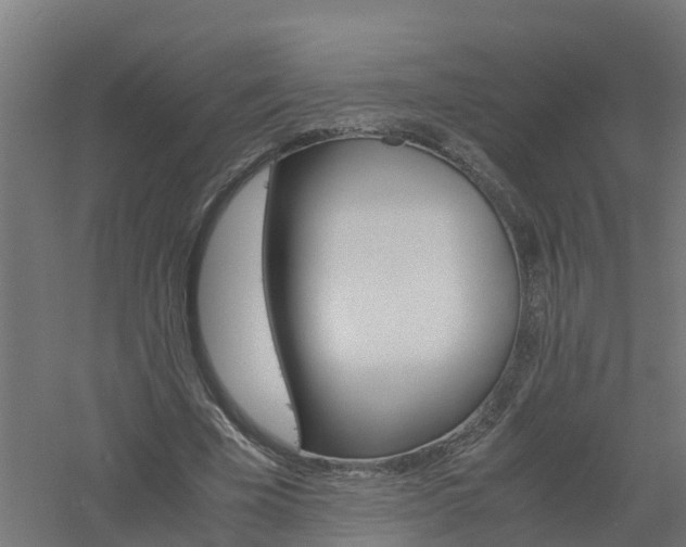 X0000061140585200511241806