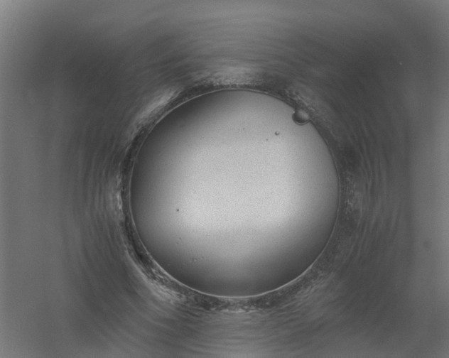 X0000061140586200511241806