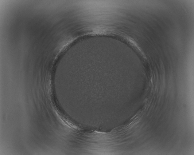 X0000061140588200511241806