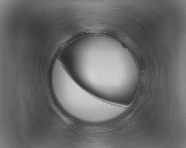 X0000061140589200511241806