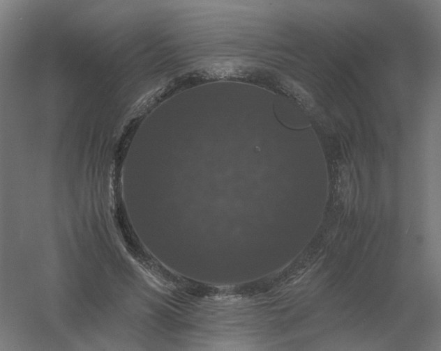 X0000061140590200511241806