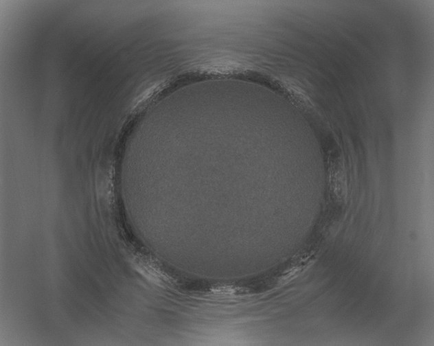 X0000061140591200511241806