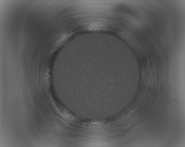 X0000061140592200511241806