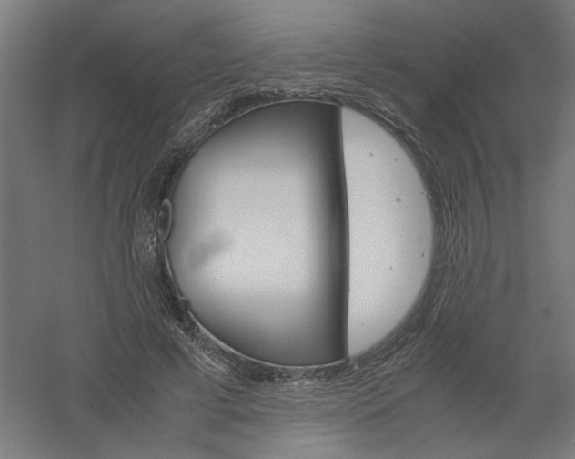 X0000061140593200511241806