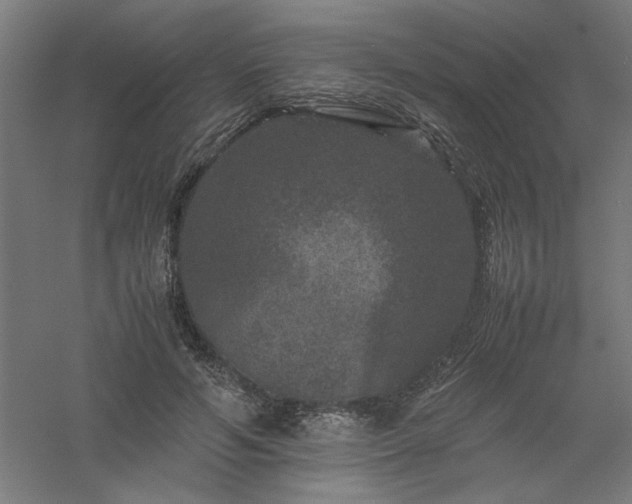 X0000061140594200511241806