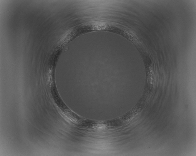 X0000061140598200511241806