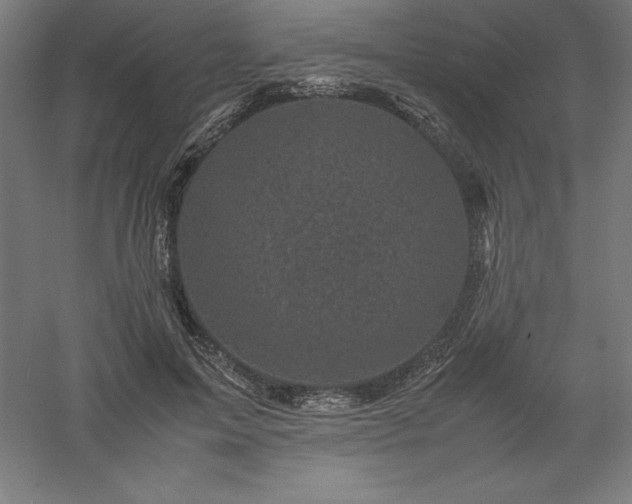 X0000061140599200511241806