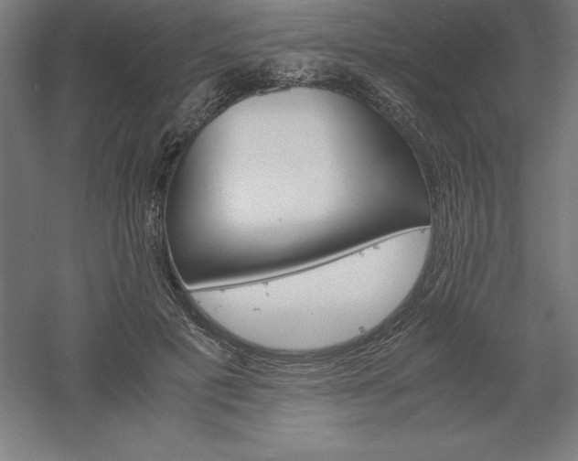 X0000061140601200511241806