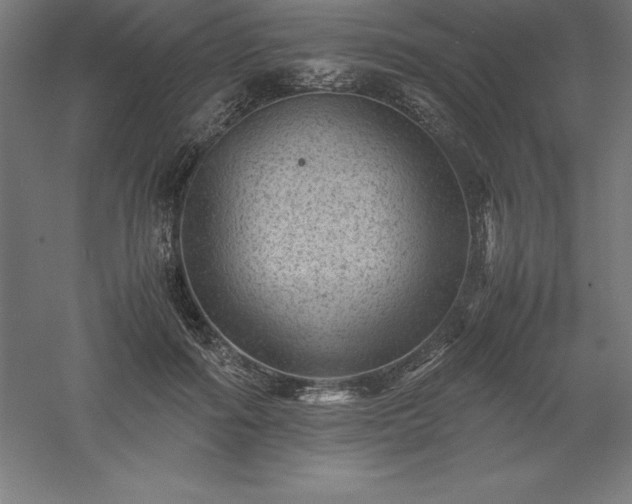 X0000061140602200511241806