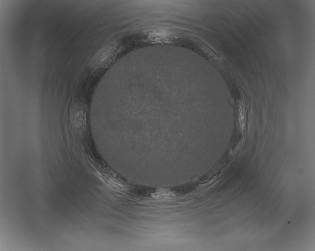 X0000061140603200511241806