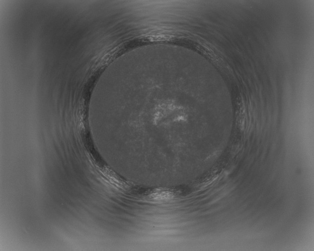 X0000061140604200511241806