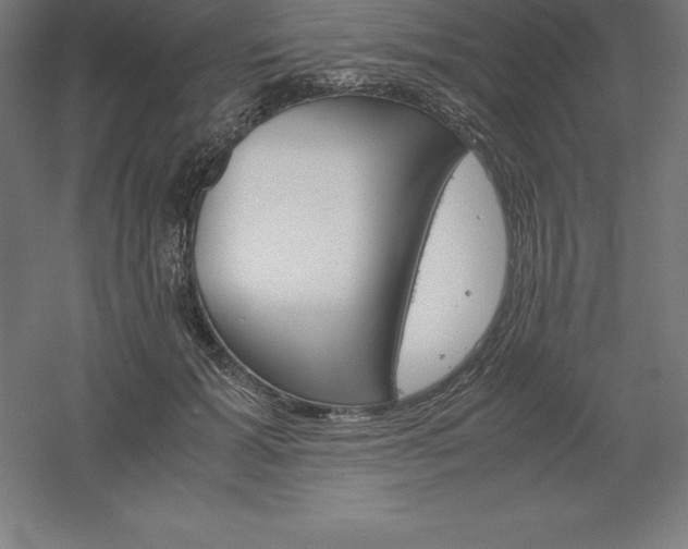 X0000061140605200511241806