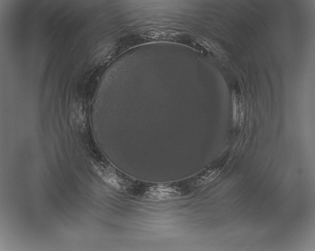 X0000061140607200511241806