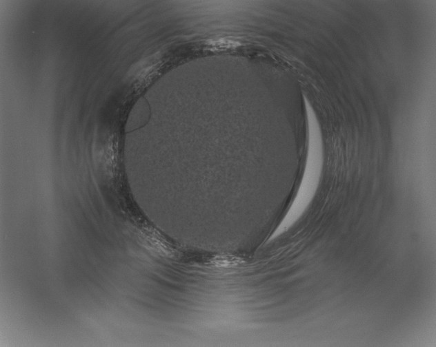 X0000061140608200511241806