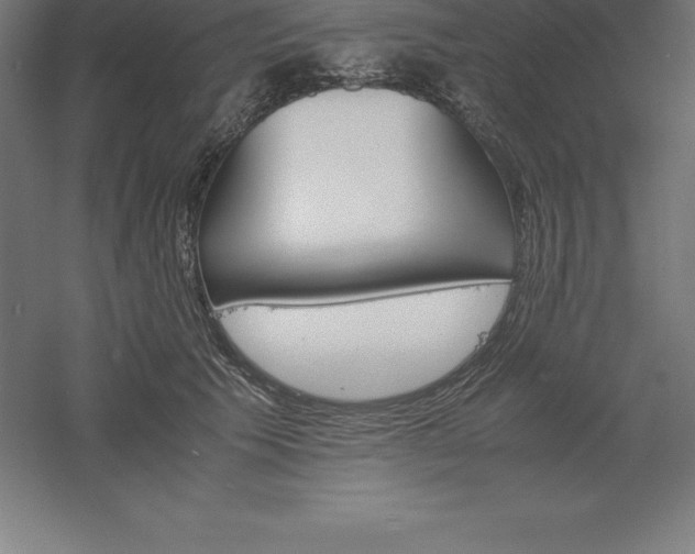 X0000061140609200511241805