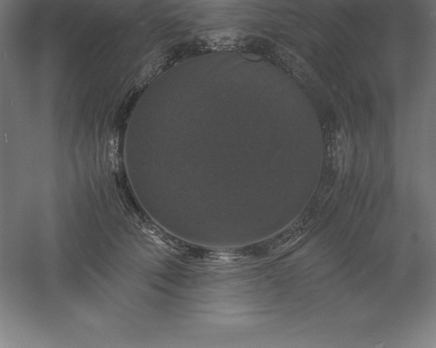 X0000061140610200511241805