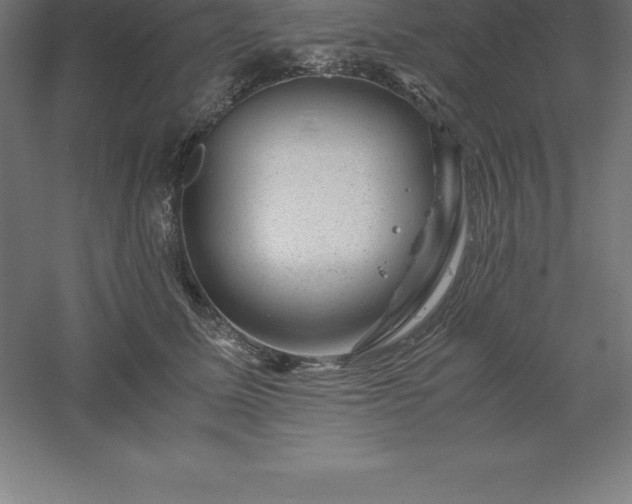 X0000061140611200511241805