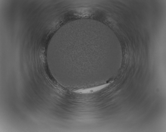 X0000061140612200511241805