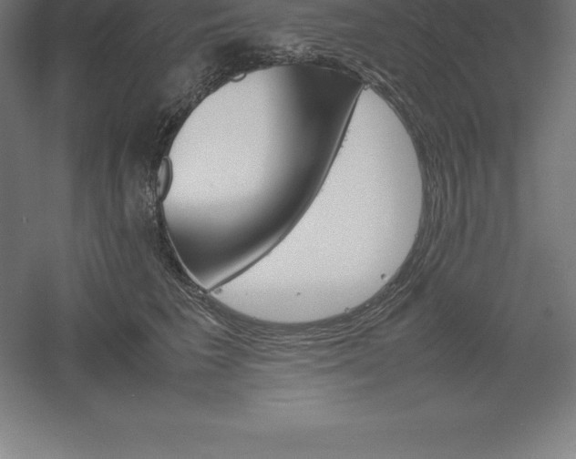 X0000061140613200511241805