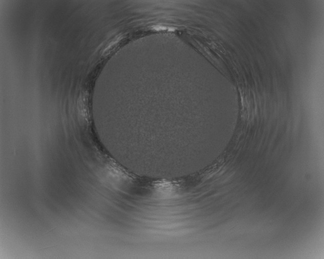 X0000061140616200511241805