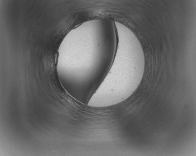 X0000061140617200511241805